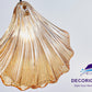 Decorique Home 23007 3-Light Seashell Pendant Chandelier Ocean-Inspired Ceiling Light Fixture for Dining Room, Bathroom, Bedroom, and Living Room