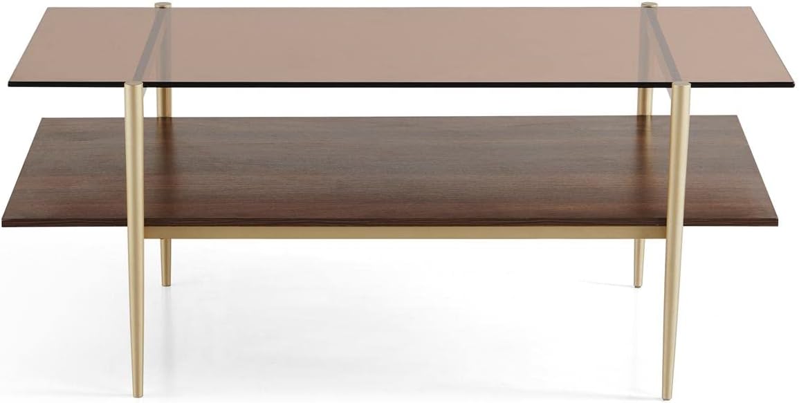 Saint Mossi Tadio Glass Coffee Table,Double Layer Glass Coffee Table for Living Room, Brown Glass & Coffee Brown MDF Bottom Shelf